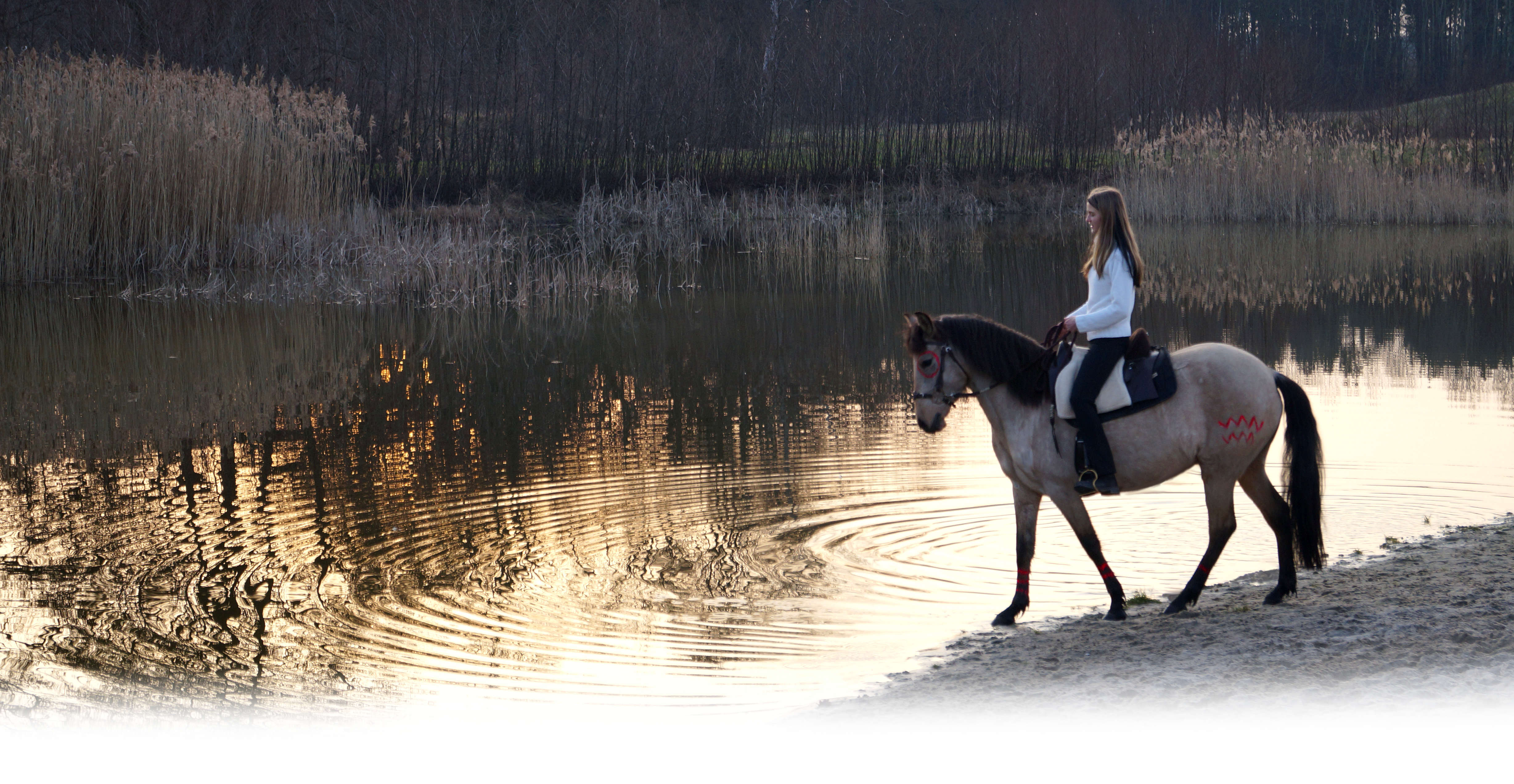 The Art of Drawing Readers In: Your attractive post title goes here Bolivia See