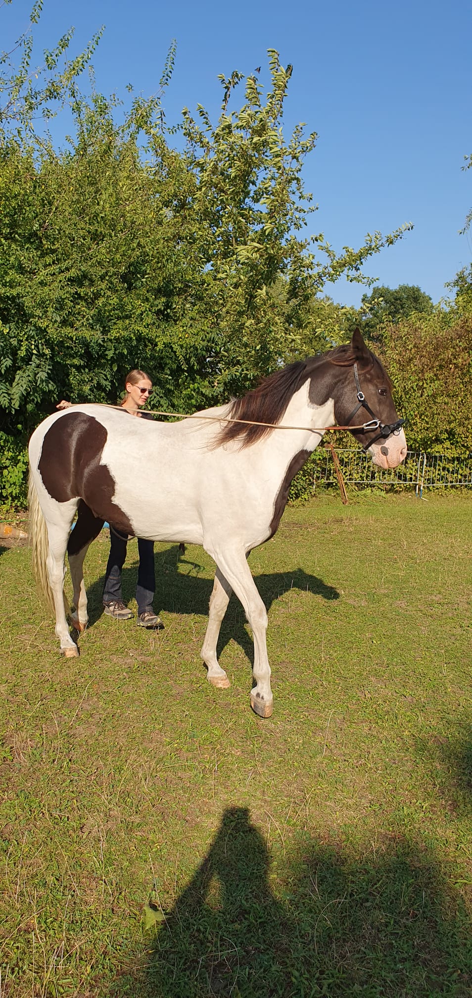 The Art of Drawing Readers In: Your attractive post title goes here IMG 20240906 WA0009